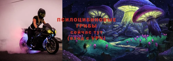 соль ск Арсеньев