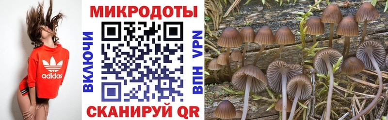 Псилоцибиновые грибы Psilocybe  Орёл 